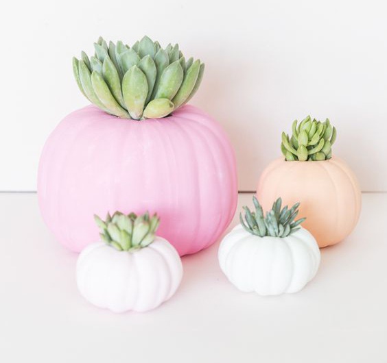 Chic Halloween Pumpkins Chic Halloween Pumpkins 6